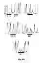 Fig. 23 - Methods and systems for achieving a physiological response by pudendal nerve stimulation and blockade