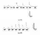 Fig. 25 - Methods and systems for achieving a physiological response by pudendal nerve stimulation and blockade