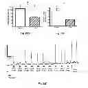 Fig. 28 - Methods and systems for achieving a physiological response by pudendal nerve stimulation and blockade