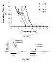 Fig. 32 - Methods and systems for achieving a physiological response by pudendal nerve stimulation and blockade