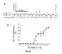 Fig. 33 - Methods and systems for achieving a physiological response by pudendal nerve stimulation and blockade