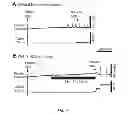 Fig. 34 - Methods and systems for achieving a physiological response by pudendal nerve stimulation and blockade