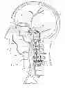 Fig. 02 - Protuberant aneurysm bridging device deployment method