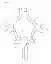 Fig. 09 - Protuberant aneurysm bridging device deployment method