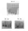 Fig. 15 - Laser-produced porous surface