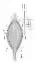 Fig. 19 - Implantable digestive tract organ