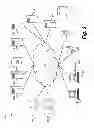 Fig. 03 - PHOTO BOOTH FOR THREE-DIMENSIONAL IMAGES