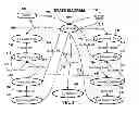 Fig. 04 - Ebb and flow watering system