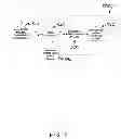 Fig. 07 - System and method of large area microgrid stability controls