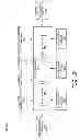 Fig. 03 - Aircraft gross weight and center of gravity validator