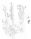Fig. 04 - Methods and systems to accurately display lateral deviation symbology in offset approaches to runways