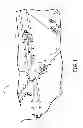 Fig. 02 - AUTONOMOUS AIRCRAFT GUIDING MOBILE UNIT