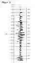 Fig. 02 - METHOD AND DEVICE FOR CALCULATING TIME-SHIFTS AND TIME-STRAINS IN SEISMIC DATA