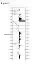 Fig. 08 - METHOD AND DEVICE FOR CALCULATING TIME-SHIFTS AND TIME-STRAINS IN SEISMIC DATA