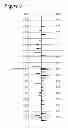 Fig. 10 - METHOD AND DEVICE FOR CALCULATING TIME-SHIFTS AND TIME-STRAINS IN SEISMIC DATA