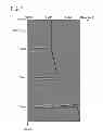 Fig. 08 - DEVICE AND METHOD FOR RESIDUAL MOVEOUT PICKING OF GHOSTED SEISMIC DATA