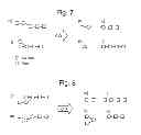Fig. 07 - Computational method and system for deducing sugar chains using tandem MSspectrometry data