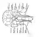 Fig. 26 - Method and system for patient-specific modeling of blood flow