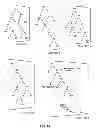 Fig. 14 - Systems and methods for improving the efficiency of syntactic and semantic analysis in automated processes for natural language understanding using general composition