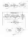 Fig. 08 - DETECTING CASES WITH CONFLICTING RULES