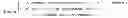Fig. 02 - METHOD AND APPARATUS FOR CONDUCTING AN INFORMATION BROKERING SERVICE