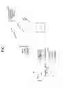 Fig. 02 - ADVERTISEMENT PRESENTATION SYSTEM, ADVERTISEMENT PRESENTATION DEVICE, AND ADVERTISEMENT PROVISION DEVICE