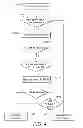 Fig. 06 - Dual/multiple pin payment account