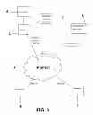 Fig. 02 - FORMATTING SYSTEM AND METHOD FOR PRODUCING A STANDARDIZED RESUME