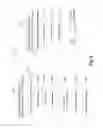 Fig. 06 - Cross-file differential content synchronization using cached patches