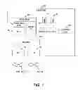 Fig. 02 - Computer and memory management method