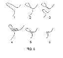 Fig. 06 - Quick Release Fishing Bobber