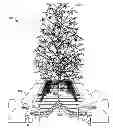 Fig. 01 - MECHANICAL BERRY HARVESTER