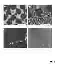 Fig. 08 - Growth methods for controlled large-area fabrication of high-quality graphene analogs