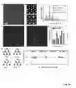 Fig. 28 - Growth methods for controlled large-area fabrication of high-quality graphene analogs