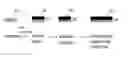 Fig. 01 - Methods of Treating Metal Surfaces and Devices Formed Thereby
