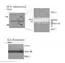 Fig. 02 - Methods of Treating Metal Surfaces and Devices Formed Thereby