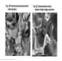Fig. 06 - Methods of Treating Metal Surfaces and Devices Formed Thereby