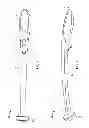Fig. 02 - Cleaning scrubber for household surfaces