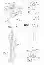 Fig. 02 - FITMENT FOR FLEXIBLE POUCH