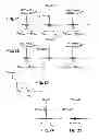 Fig. 09 - System for in vitro detection and/or quantification by fluorometry