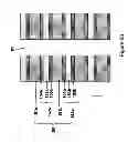 Fig. 49 - Ultrahigh density vertical NAND memory device
