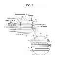 Fig. 07 - Semiconductor photodetector and method for manufacturing the same