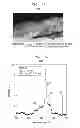 Fig. 08 - Structure and method of fabricating a CZTS photovoltaic device by electrodeposition