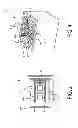 Fig. 03 - Switched capacitor structure