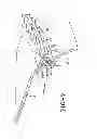 Fig. 08 - Composite bead plate and an air spring using the same