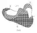 Fig. 04 - Skate with injected boot form