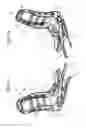 Fig. 02 - Seat having a welded transverse shaft