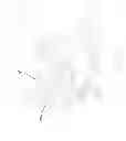 Fig. 07 - Electrical test switch