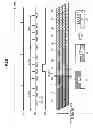 Fig. 08 - Imaging apparatus that can reduce an adverse effect due to an external flash when an electronic shutter is used
