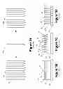 Fig. 02 - Multiple patterning process for forming trenches or holes using stitched assist features